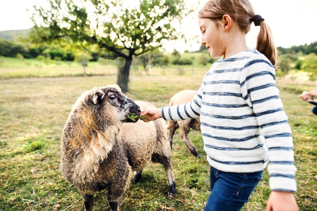 Kinderboerderij mams