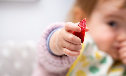 Macro,Close,Up,Of,Baby,Hand,With,A,Piece,Of